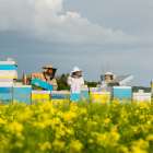 プルジアスHoney＆Honeyの生はちみつが特別な理由＝‘’本物はリトアニアから空を飛んでやってくる‘’
